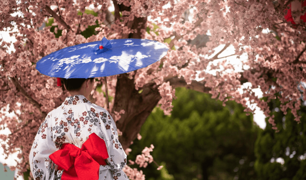 Japon Çiçek Sanatı: İkebana